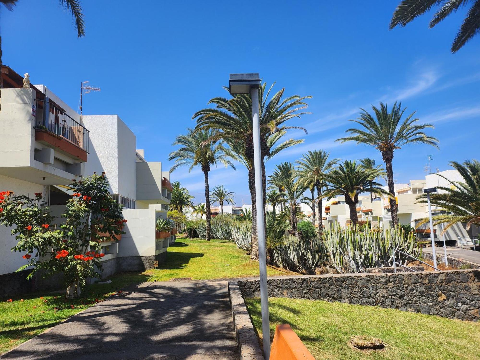 Tenerife Sunshine South Apartment Beach By La Ballena Arona  Eksteriør bilde