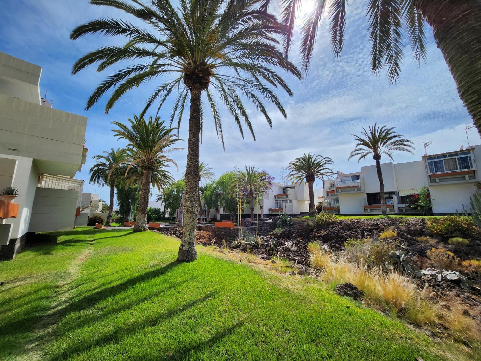 Tenerife Sunshine South Apartment Beach By La Ballena Arona  Eksteriør bilde