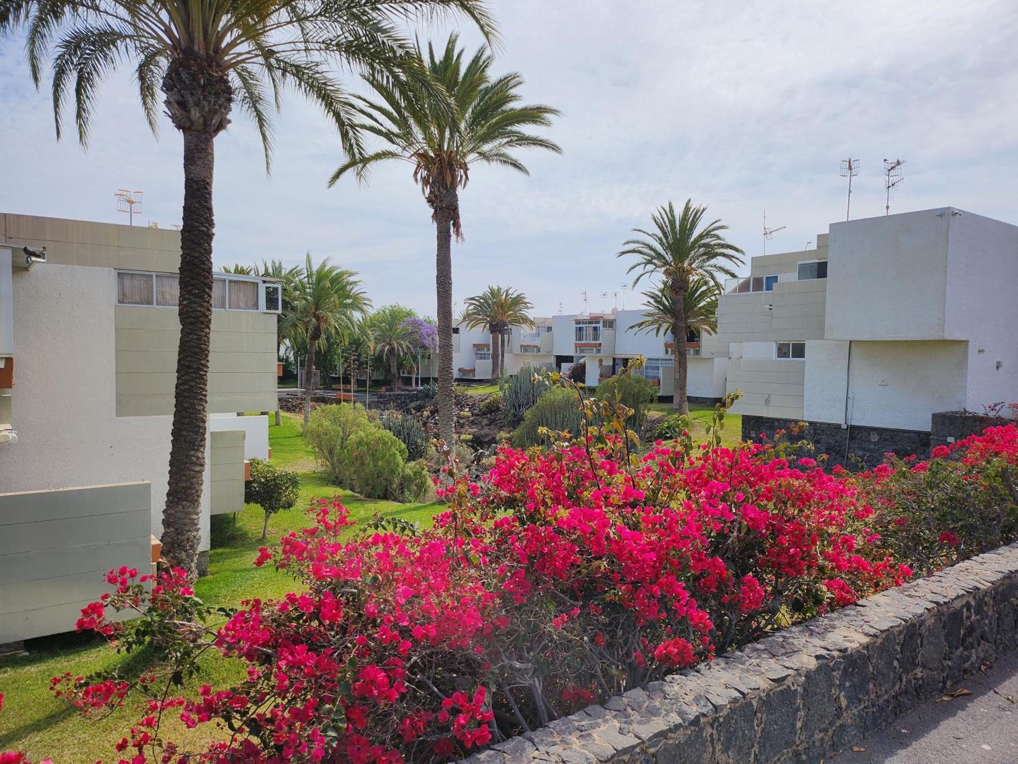 Tenerife Sunshine South Apartment Beach By La Ballena Arona  Eksteriør bilde